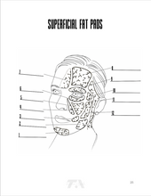 Load image into Gallery viewer, Color Me Injected - Facial Anatomy Coloring Book for Injectors

