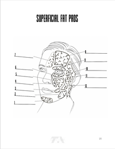 Color Me Injected - Facial Anatomy Coloring Book for Injectors